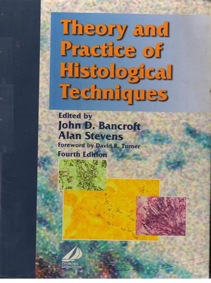 Stevens Bancroft