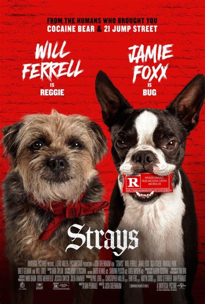 The Strays