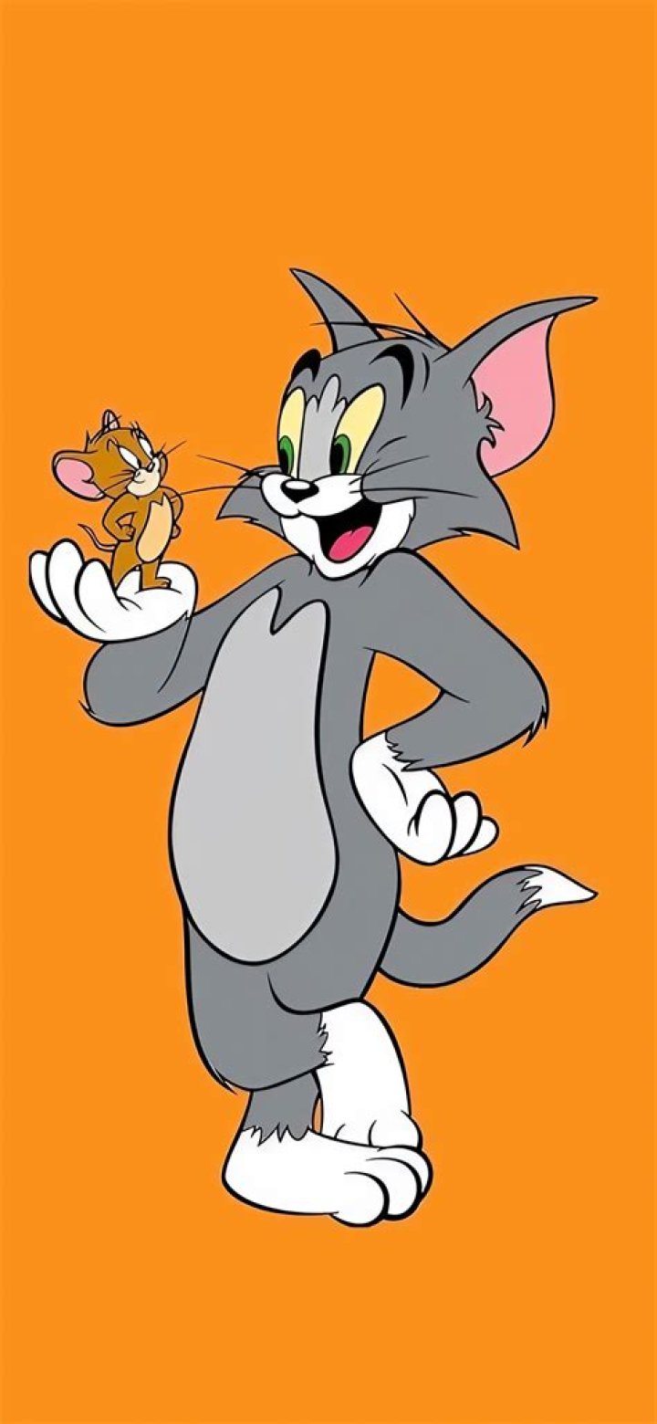 Tom O&rsquo;Toole