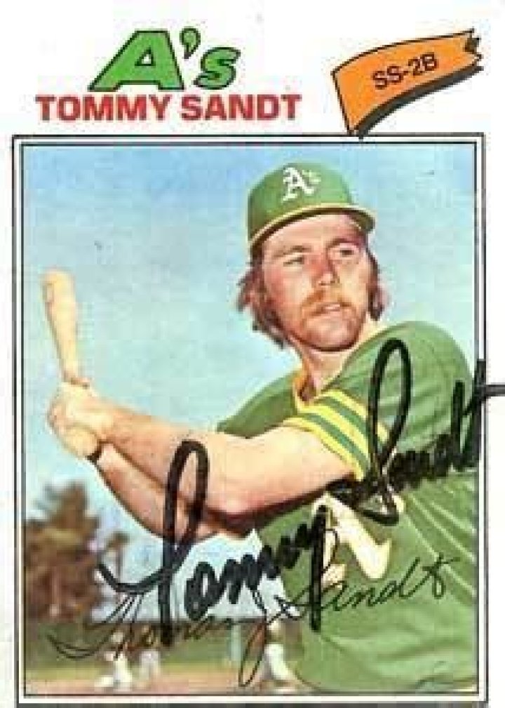 Tommy Sandt