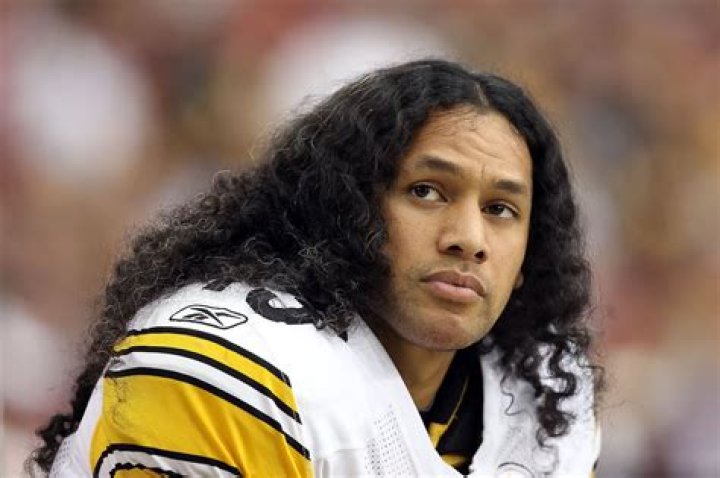 Troy Polamalu