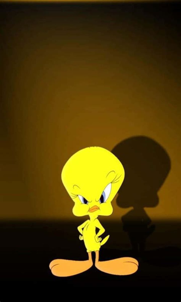 Tweety Gonz&aacute;lez