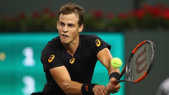 Vasek Pospisil
