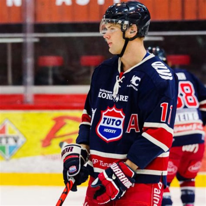 Verner Perkkola