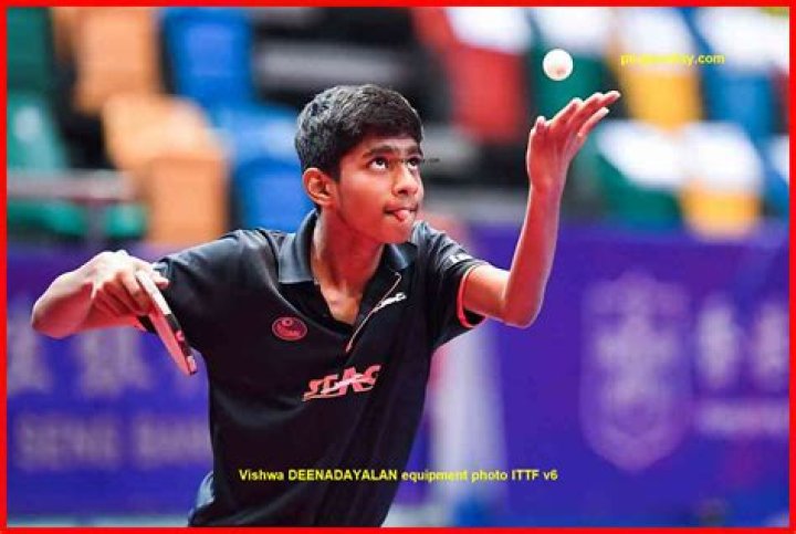 Vishwa Deenadayalan