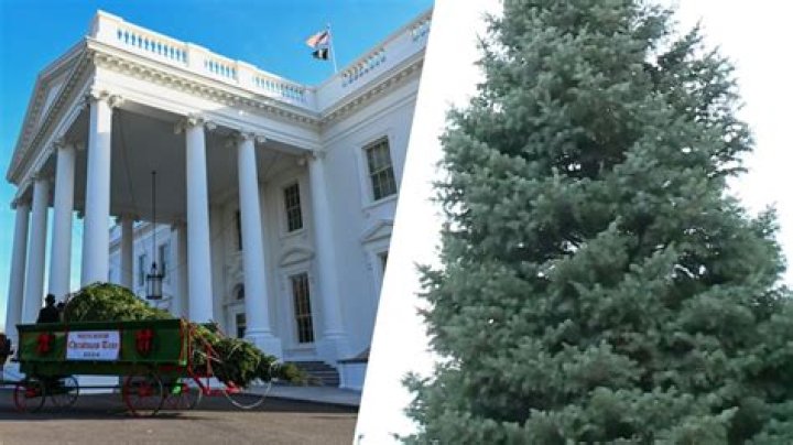 White House Christmas