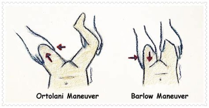 Will Barlow