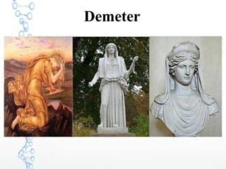 Zolt&aacute;n Demeter
